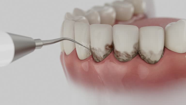 Reliable Dental contractor in Chapel Hill, TN by Dentist Open Now